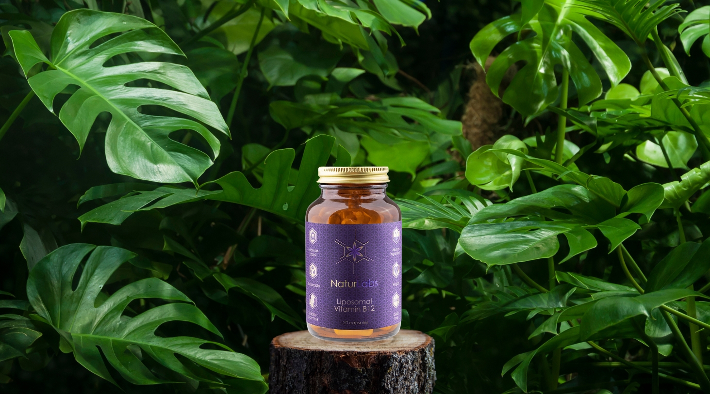 Vitamin B12 liposomální2